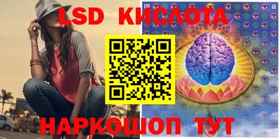 стаф Канаш