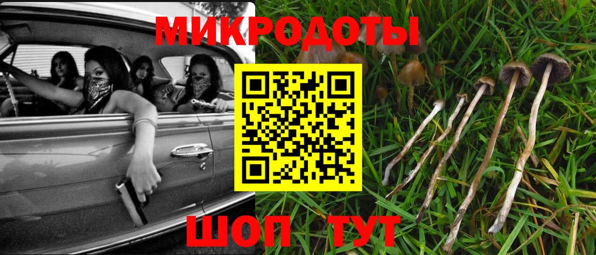 Галлюциногенные грибы Psilocybine cubensis Каменск-Уральский